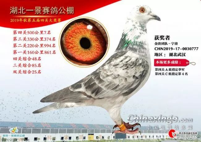 金属探测仪 第10页