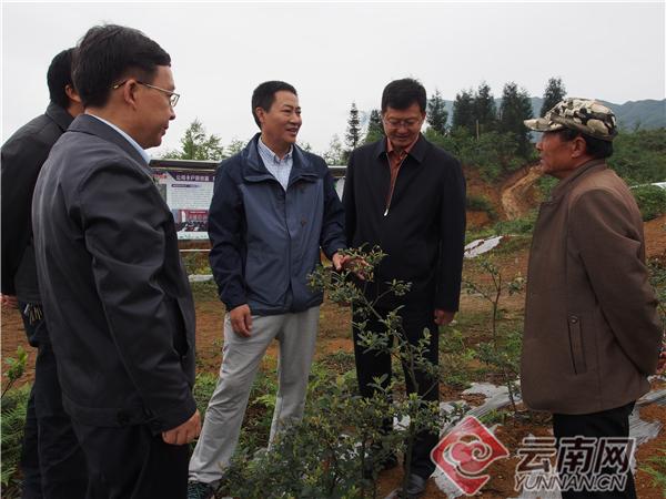 昭通市人事任免更新，时代背景下的新篇章