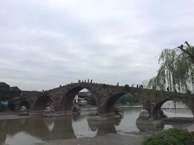 朔天运河工程最新动态，一段温馨的日常故事揭秘