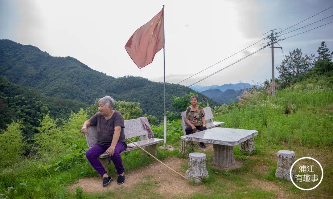 翠微股份最新动态，自然美景探索之旅与股票消息更新
